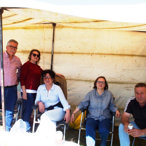 Almendro en flor 2026 (30)